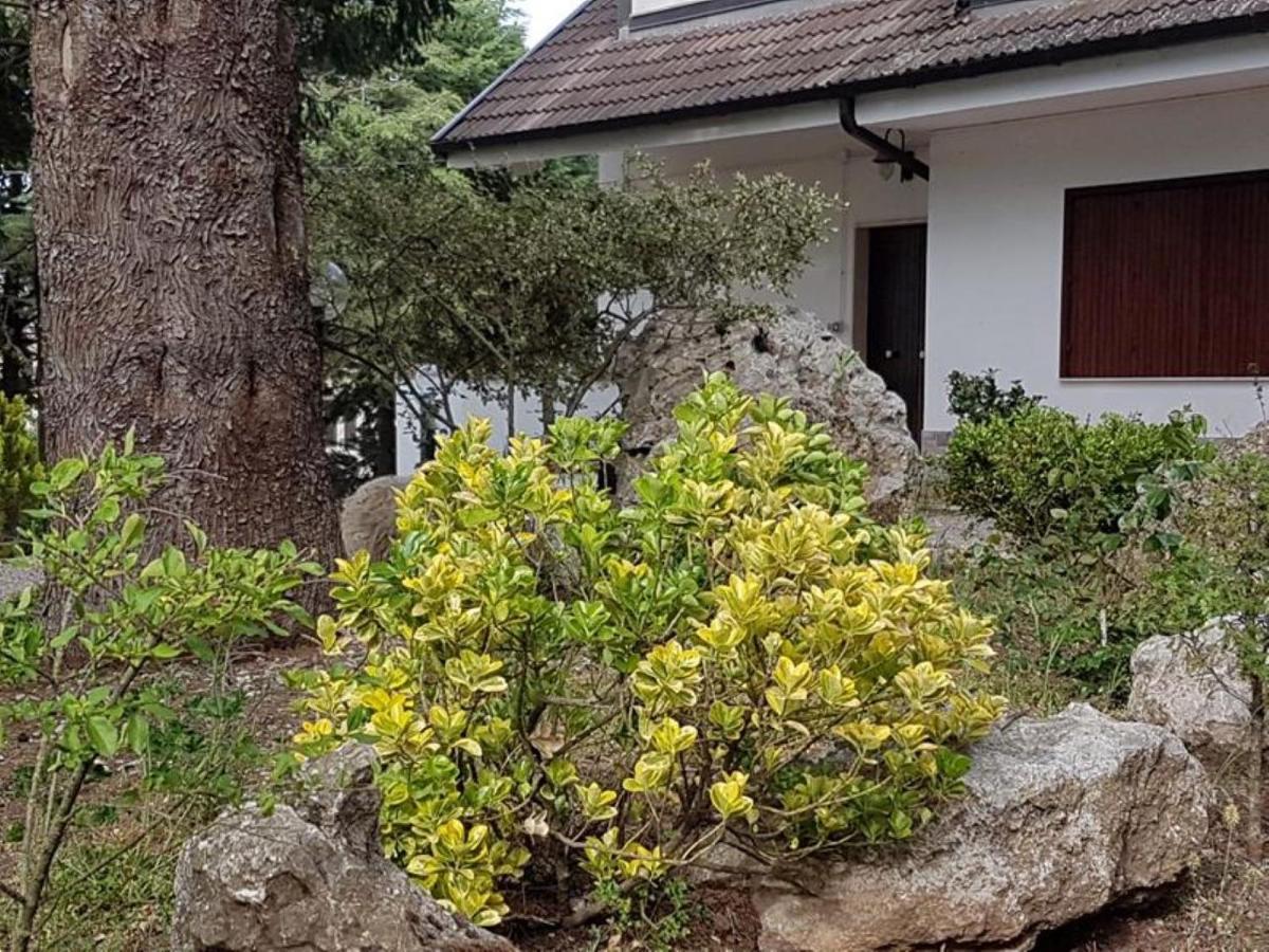 Le Conifere Apartment Pignola Ngoại thất bức ảnh